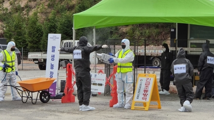 서산시, 복합형 가축전염병 가상방역훈련 실시