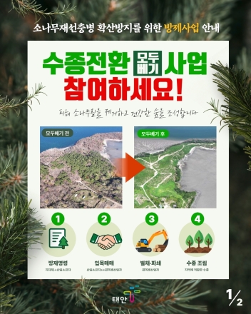 태안군, ‘더 늦으면 태안 소나무 전멸’ 소나무재선충병 확산 차단 총력…수종전환 산주 동의 적극 당부