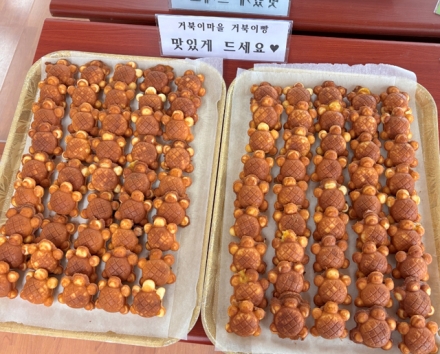 홍성군 구항면 거북이마을의 특별한 쉼터, ‘거북이마을 카페’