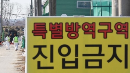 충남도, 겨울철 AI 차단 총력…가금농가 검사 강화