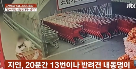 반려견 맡긴 20분간 13차례 내던진 지인…척추 손상·다리 마비