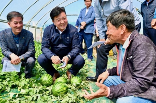 예산군, 애플수박·속노란수박 등 소형수박 첫 출하!