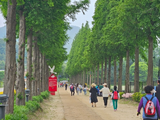 예산군보건소, 덕산온천 명상치유숲 둘레길 걷기 행사 성료
