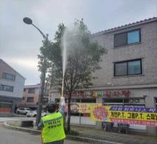 아산시, 가로수 돌발해충 ‘미국흰불나방’ 선제적 방제 추진