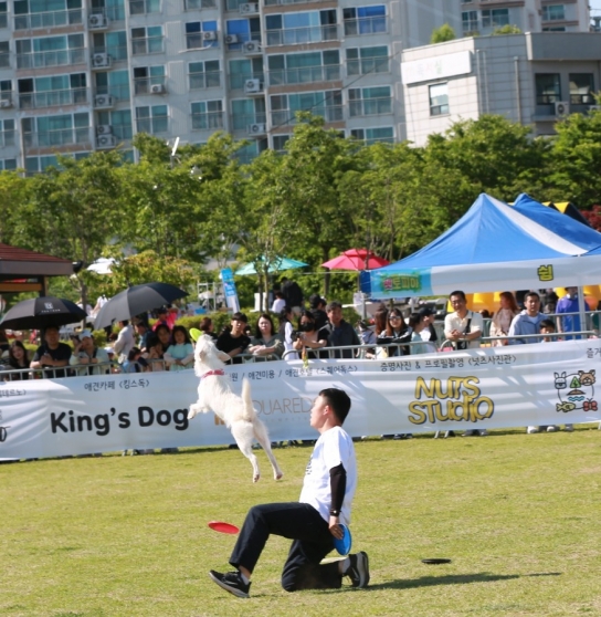 서산시, 제2회 반려동물 문화축제 ‘펫토피아’ 성료
