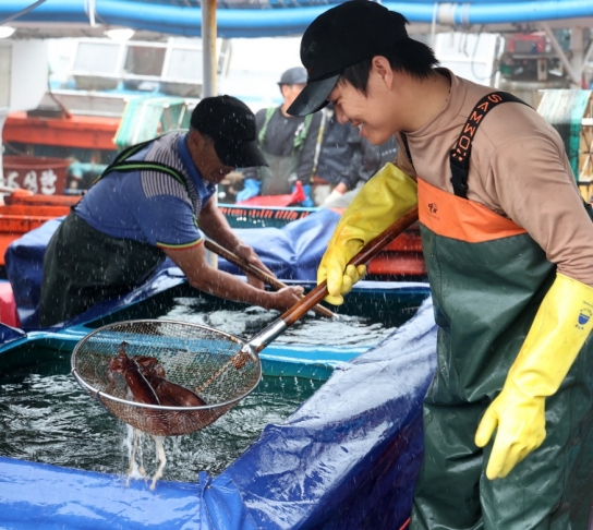 태안군, ‘제1회 신진도 오징어&수산물 축제’ 8월 2일 개막!