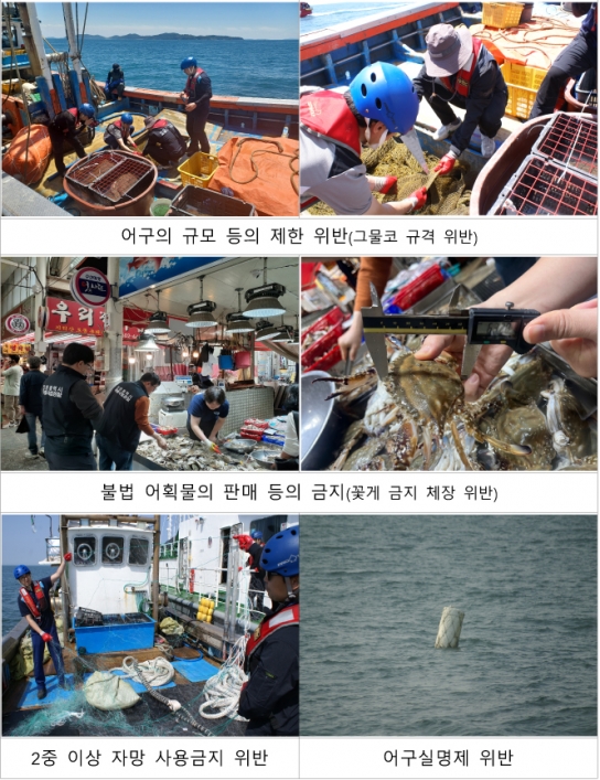 인천시, 봄철 산란기 불법어업 11건 적발