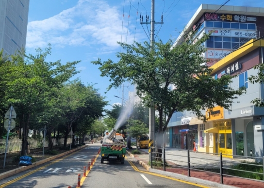 서산시, 미국흰불나방 선제적 방제 ‘총력’