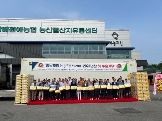 천안시, 하늘그린 천안 배’미국 등 해외 수출 본격 시작