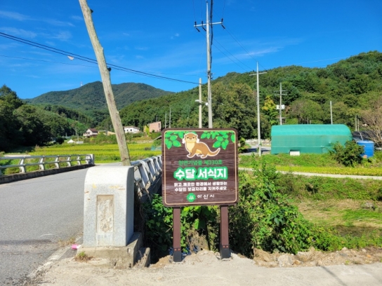 아산시, 온양천 상류 수달보호 안내 간판 설치
