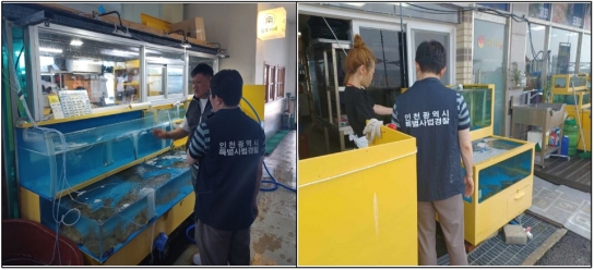 인천시, 휴가철 수산물 원산지표시 위반 6건 적발 ... 시민 건강 지킨다