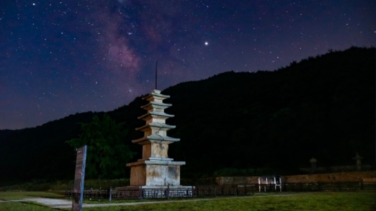 서산시, 보원사지 오층석탑 국보 승격 학술 세미나 개최
