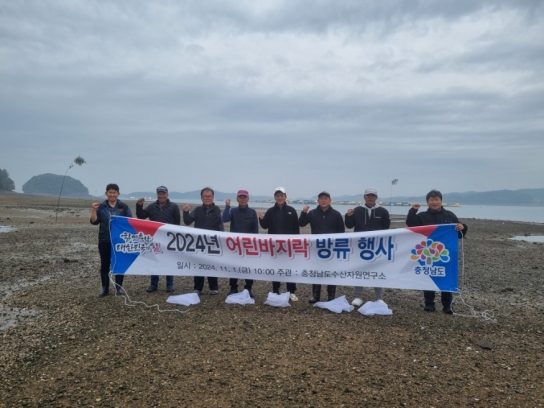 충남도, ‘지역 특산’ 어린 바지락 100만 마리 방류