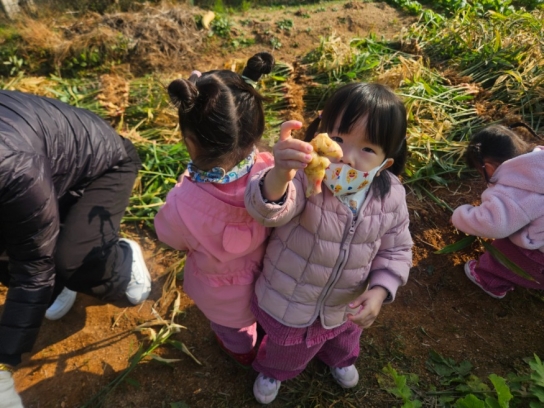 당진시, 11월 박물관 체험교육 성황리에 개최