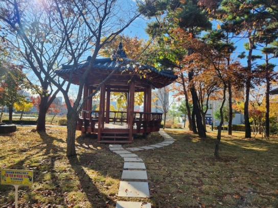 보령시, 더 안전하고 즐거운 공간으로! 동대근린공원 새 단장 완료