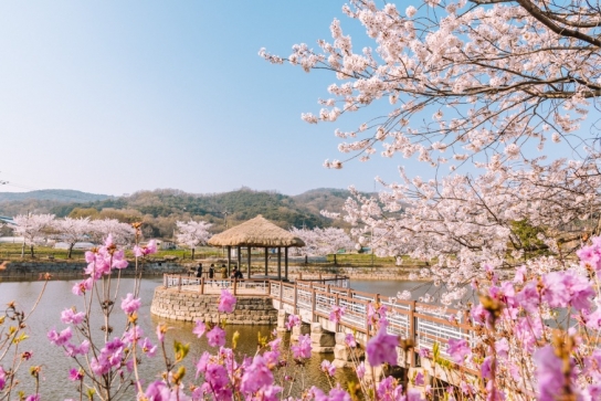 당진시, 2025년 개별 관광객 인센티브 지원 사업 실시