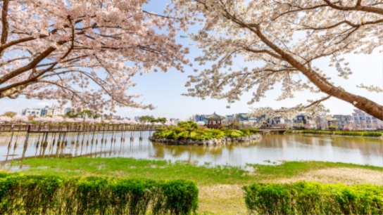 서산시, 중앙호수공원 어울광장 조성