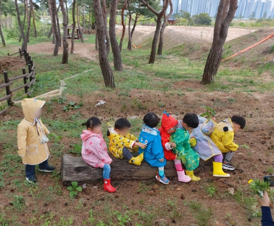 홍성군, 아이와 함께하는 숲체험프로그램 운영