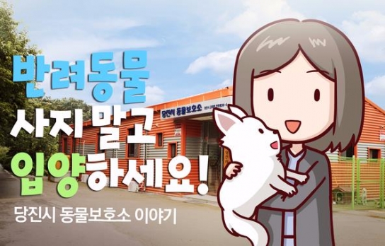 당진시, 유기 동물 입양비 지원사업 시행