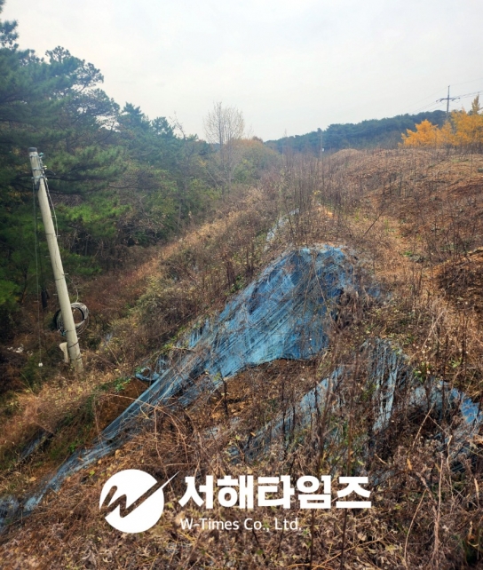 당진시 장항리 일대 불법 폐기물 매립 논란… 당진시 인지 조사 중