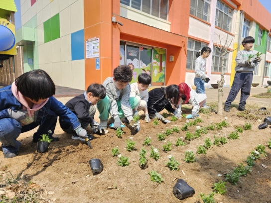 당진시농업기술센터, 학교 4-H회에 꽃묘 지원