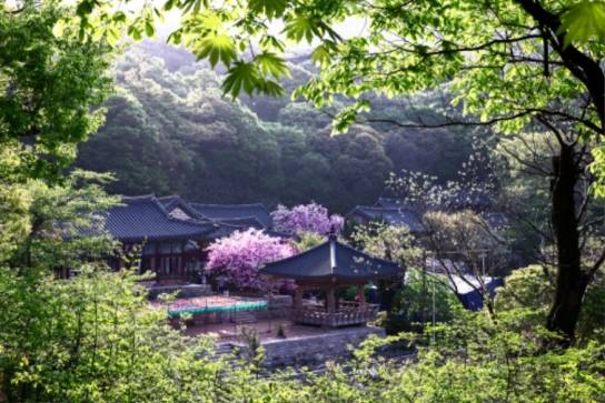 서산시, 충남으로 떠나는 레트로 낭만열차 투어 ‘본격 운영’