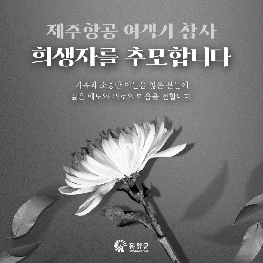 30일 (홍성군, 군내 모든 해맞이 행사 전면 취소).jpg